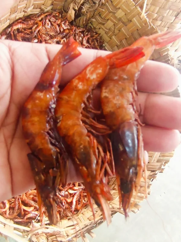 লাল চিংড়ি শুঁটকি